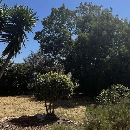 Maison Familiale Avec Jardin, A 900m De La Plage, 6 Couchages, Wi-fi Et Parking - - Fr-1-224b-200